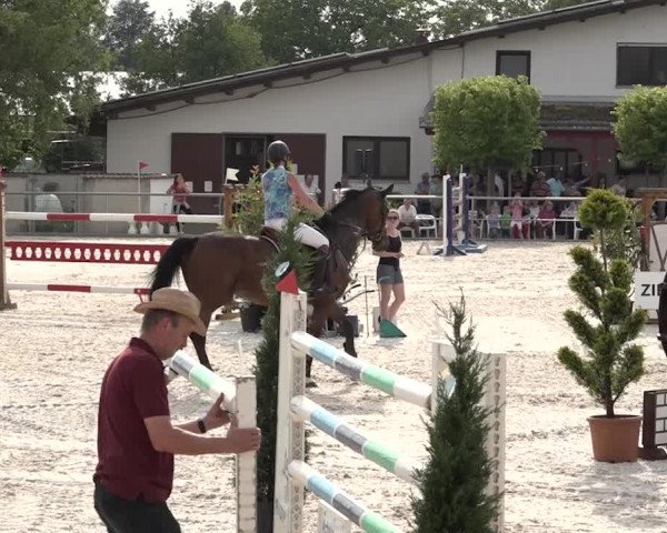 Reitturnier Achern 2018
