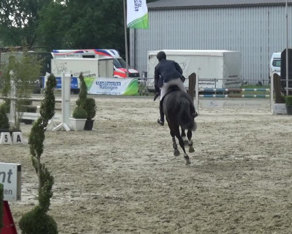 Reitturnier Ratingen-Lintorf 2018