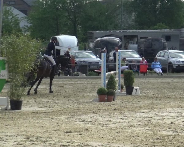 Reitturnier Ratingen-Lintorf 2018