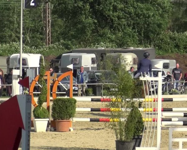 Reitturnier Ratingen-Lintorf 2018
