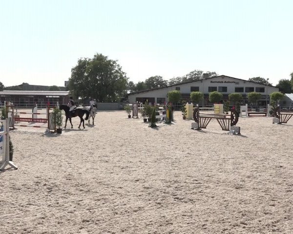 Reitturnier Achern 2018