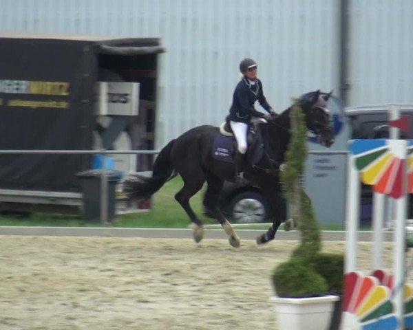 Reitturnier Ratingen-Lintorf 2018
