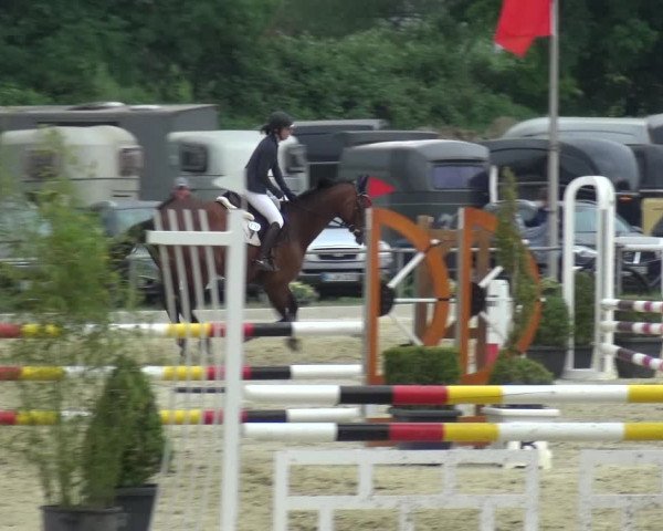 Reitturnier Ratingen-Lintorf 2018