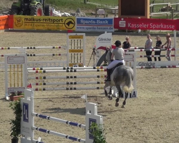 Reitturnier Fürstenwald 2018