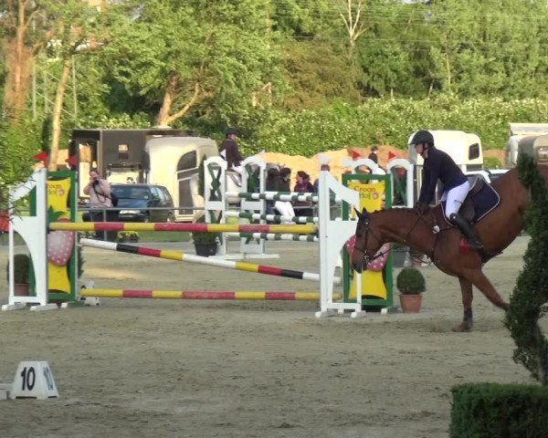 Reitturnier Ratingen-Lintorf 2018