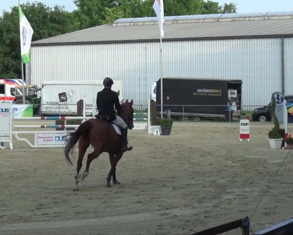 Reitturnier Ratingen-Lintorf 2018