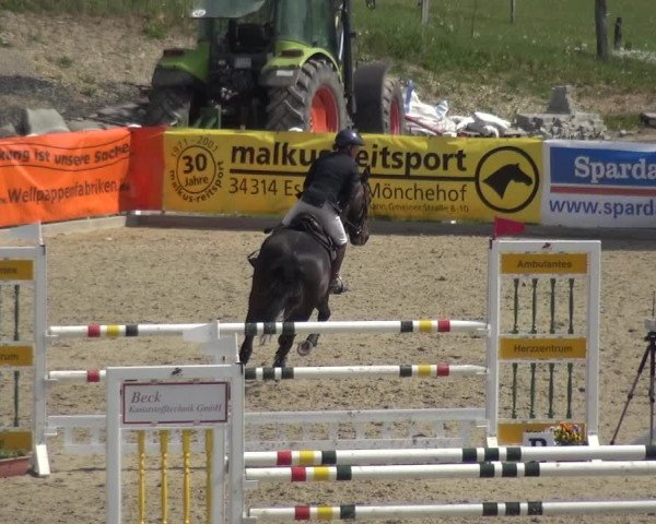 Reitturnier Fürstenwald 2018