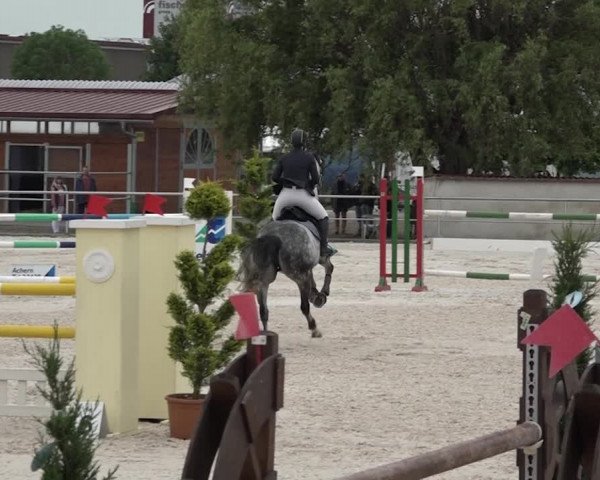 Reitturnier Achern 2018