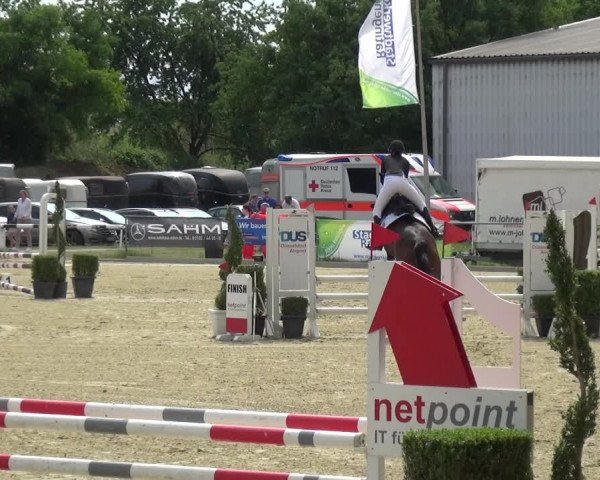 Reitturnier Ratingen-Lintorf 2018