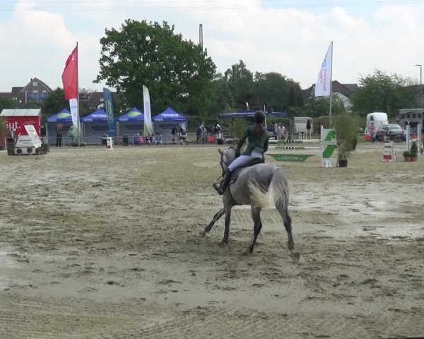 Reitturnier Ratingen-Lintorf 2018