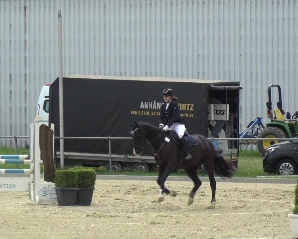 Reitturnier Ratingen-Lintorf 2018
