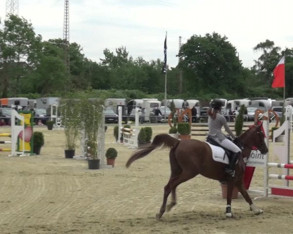 Reitturnier Ratingen-Lintorf 2018