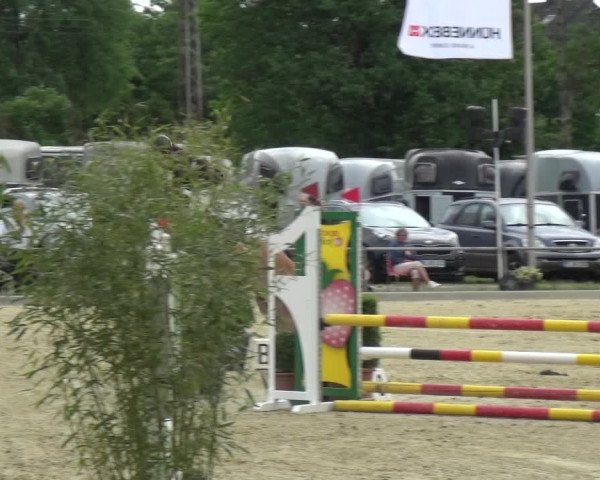 Reitturnier Ratingen-Lintorf 2018