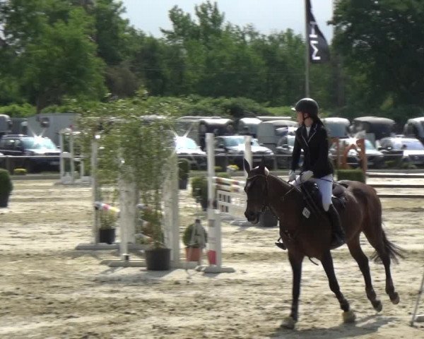 Reitturnier Ratingen-Lintorf 2018