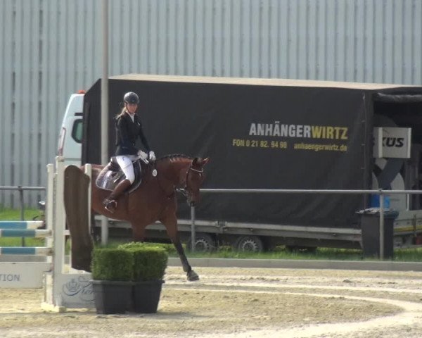 Reitturnier Ratingen-Lintorf 2018