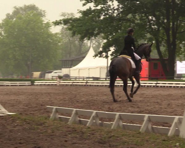 Reitturnier Hamm-Rhynern 2018