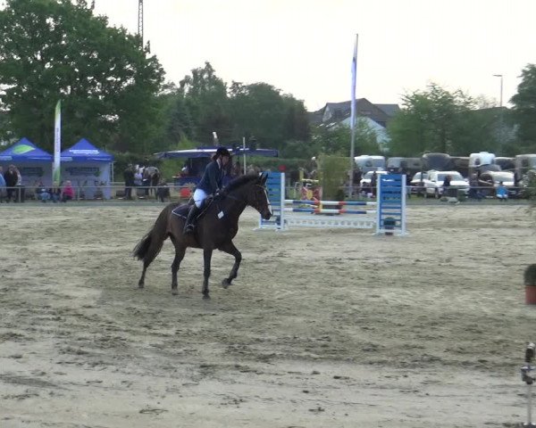 Reitturnier Ratingen-Lintorf 2018