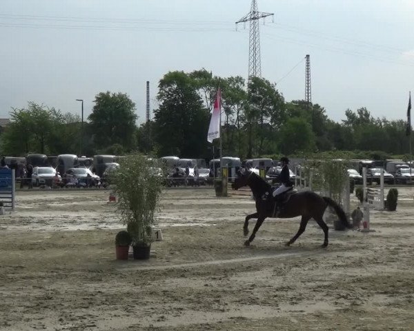 Reitturnier Ratingen-Lintorf 2018
