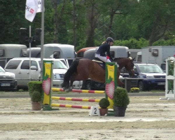 Reitturnier Ratingen-Lintorf 2018
