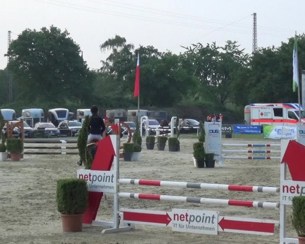 Reitturnier Ratingen-Lintorf 2018