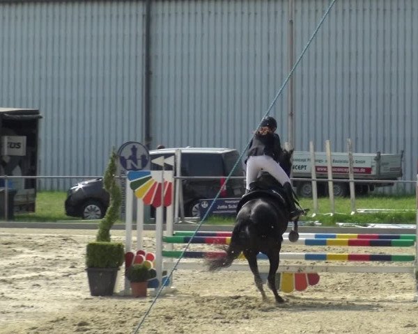 Reitturnier Ratingen-Lintorf 2018