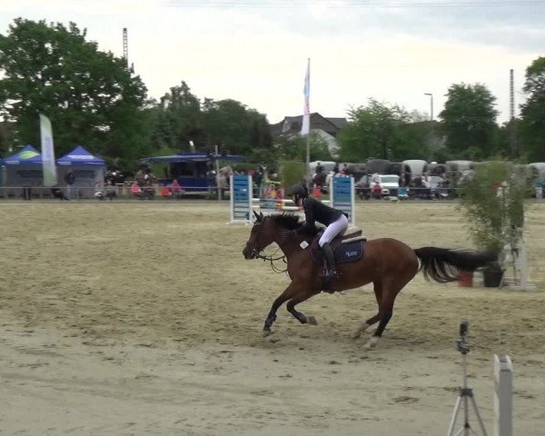 Reitturnier Ratingen-Lintorf 2018
