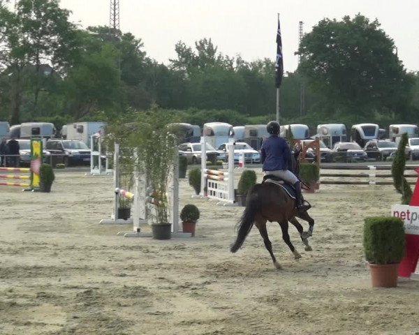 Reitturnier Ratingen-Lintorf 2018