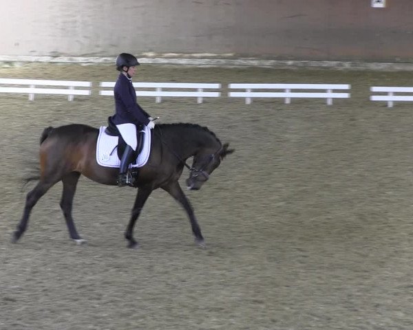 Reitturnier Hamm-Rhynern 2018