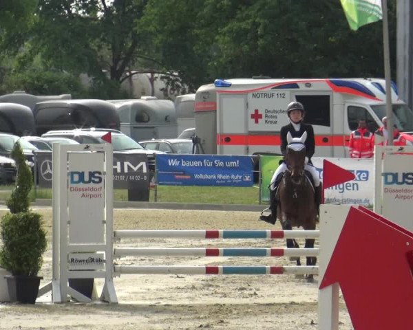 Reitturnier Ratingen-Lintorf 2018