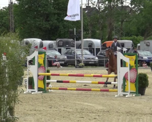 Reitturnier Ratingen-Lintorf 2018