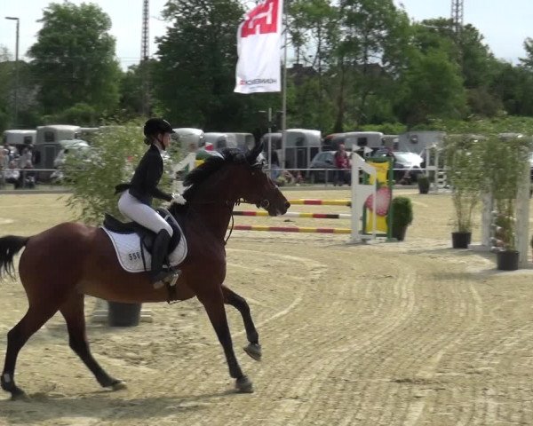 Reitturnier Ratingen-Lintorf 2018