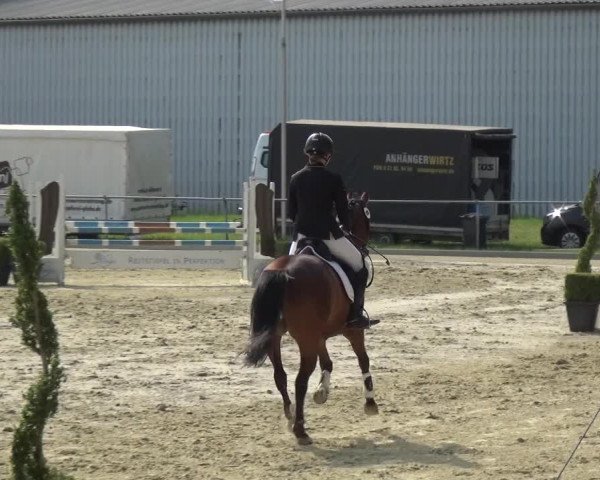 Reitturnier Ratingen-Lintorf 2018