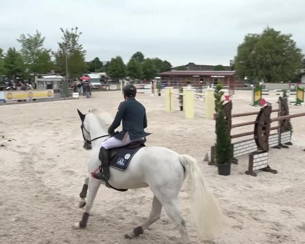 Reitturnier Achern 2018