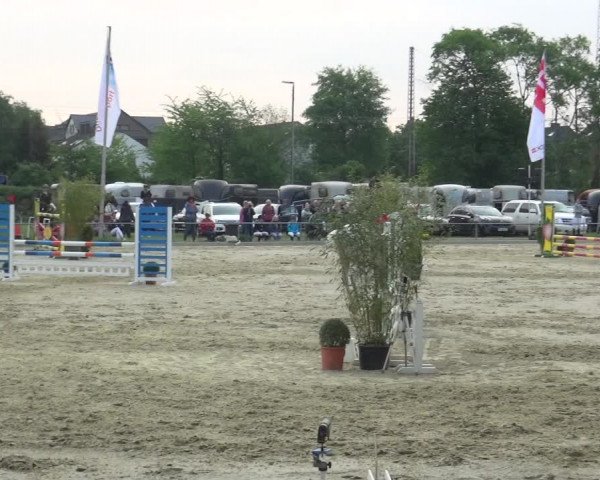 Reitturnier Ratingen-Lintorf 2018