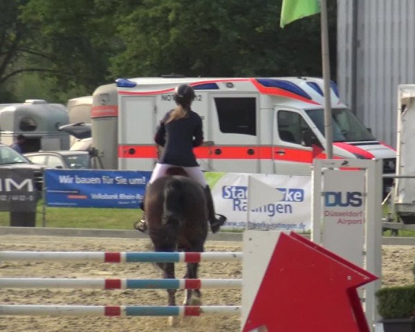 Reitturnier Ratingen-Lintorf 2018