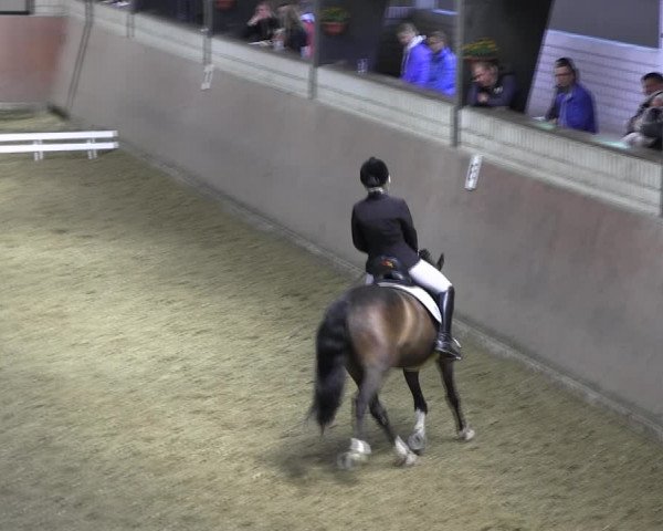 Reitturnier Hamm-Rhynern 2018