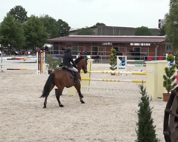 Reitturnier Achern 2018