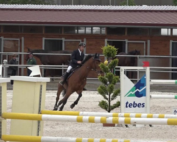 Reitturnier Achern 2018