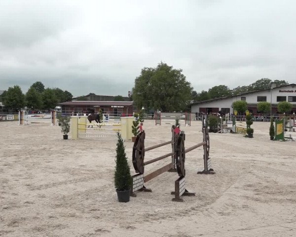 Reitturnier Achern 2018
