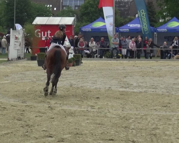 Reitturnier Ratingen-Lintorf 2018