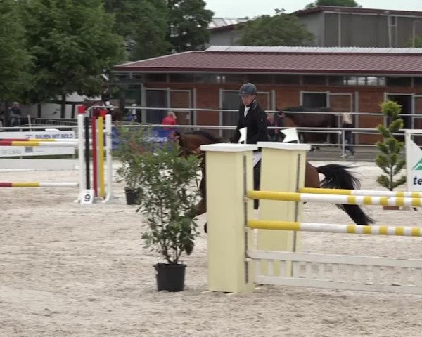 Reitturnier Achern 2018