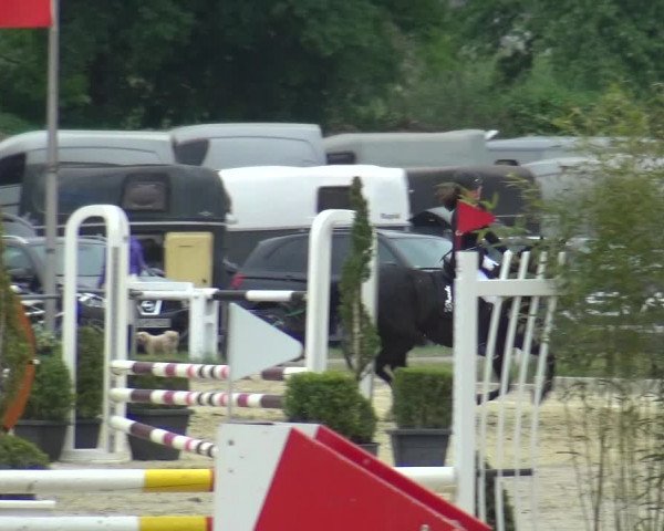 Reitturnier Ratingen-Lintorf 2018