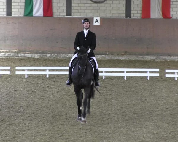 Reitturnier Hamm-Rhynern 2018