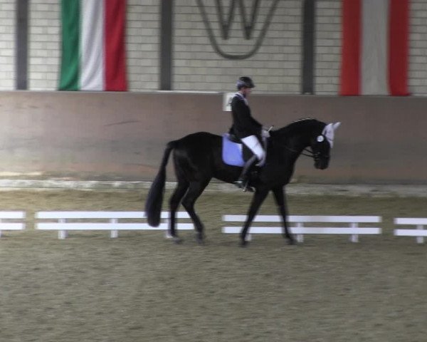 Reitturnier Hamm-Rhynern 2018