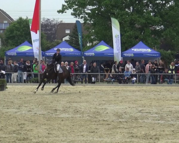 Reitturnier Ratingen-Lintorf 2018