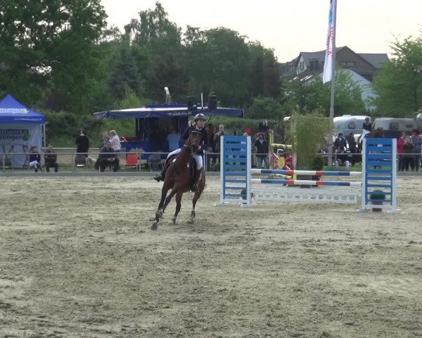 Reitturnier Ratingen-Lintorf 2018