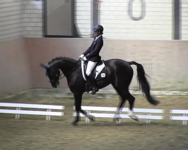 Reitturnier Hamm-Rhynern 2018