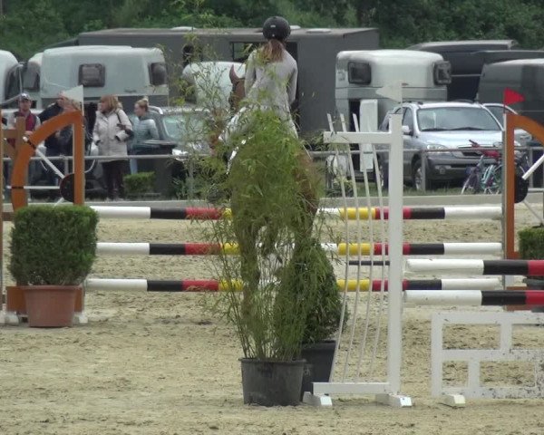 Reitturnier Ratingen-Lintorf 2018