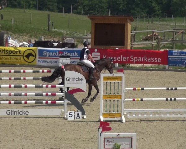 Reitturnier Fürstenwald 2018