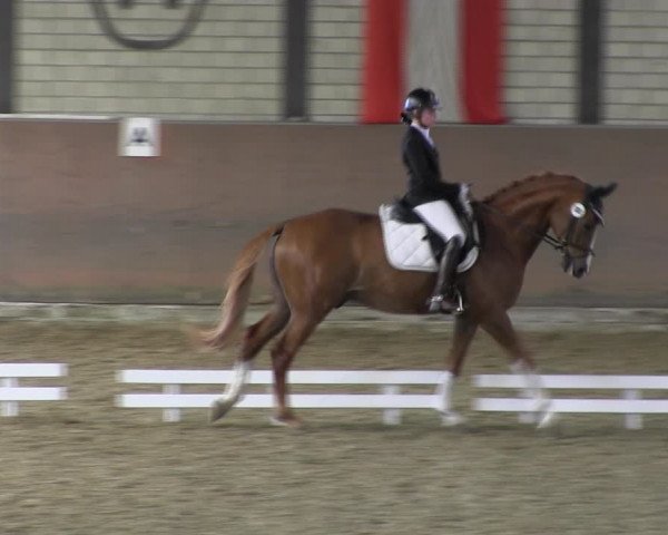 Reitturnier Hamm-Rhynern 2018